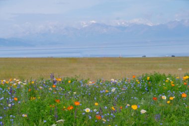 Sailimu Gölü veya Sayram Gölü, Kuzey Tianshan Dağları, Bortala Moğol Özerk Bölgesi, Xinjiang Uygur Özerk Bölgesi, Çin 'de bulunan endorheic tatlı su gölü.