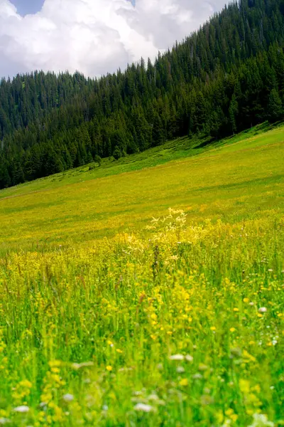 Sailimu Gölü veya Sayram Gölü, Kuzey Tianshan Dağları, Bortala Moğol Özerk Bölgesi, Xinjiang Uygur Özerk Bölgesi, Çin 'de bulunan endorheic tatlı su gölü.