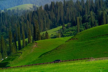 Çin 'in en güzel otlaklarından biri olan Nalati Çayırı, Alp ve Vadi manzarası, Xinyuan İlçesi, Ili Kazak özerk vilayeti, Xinjiang Uygur özerk bölgesi, Çin