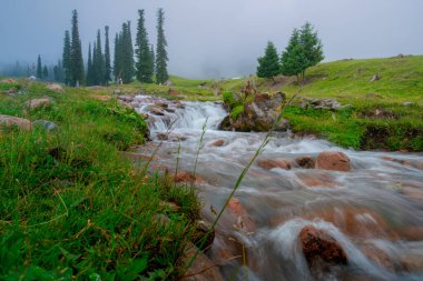 Çin 'in en güzel otlaklarından biri olan Nalati Çayırı, Alp ve Vadi manzarası, Xinyuan İlçesi, Ili Kazak özerk vilayeti, Xinjiang Uygur özerk bölgesi, Çin