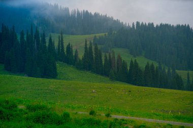 Nalati Grassland, one of the most beautiful grasslands in China for its alpine and valley scenery, Xinyuan County, Ili Kazak autonomous prefecture, Xinjiang Uygur autonomous region, China clipart