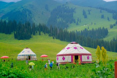 Xinyuan İlçesi, Ili Kazak özerk bölgesi, Xinjiang, Çin - 25 Haziran 2024 - Çin 'in en güzel otlaklarından biri olan Nalati Çayırı manzarası