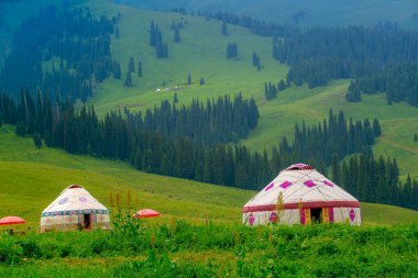 Çin 'in en güzel otlaklarından biri olan Nalati Çayırı, Alp ve Vadi manzarası, Xinyuan İlçesi, Ili Kazak özerk vilayeti, Xinjiang Uygur özerk bölgesi, Çin
