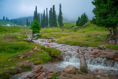 Çin 'in en güzel otlaklarından biri olan Nalati Çayırı, Alp ve Vadi manzarası, Xinyuan İlçesi, Ili Kazak özerk vilayeti, Xinjiang Uygur özerk bölgesi, Çin