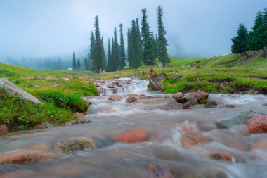 Çin 'in en güzel otlaklarından biri olan Nalati Çayırı, Alp ve Vadi manzarası, Xinyuan İlçesi, Ili Kazak özerk vilayeti, Xinjiang Uygur özerk bölgesi, Çin