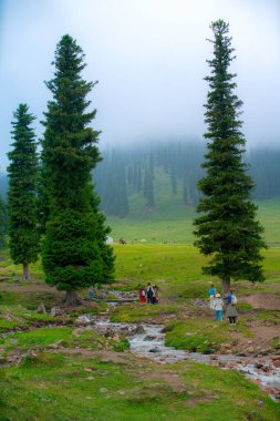 Xinyuan County, Ili Kazak autonomous prefecture, Xinjiang, China - June 25, 2024 - Scene of Nalati Grassland, one of the most beautiful grasslands in China for its alpine and valley scenery clipart