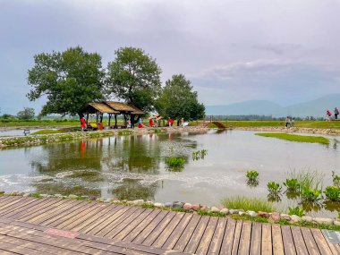 Xinyuan İlçesi, Ili Kazak özerk bölgesi, Xinjiang, Çin - 25 Haziran 2024 - Çin 'in en güzel otlaklarından biri olan Nalati Çayırı manzarası