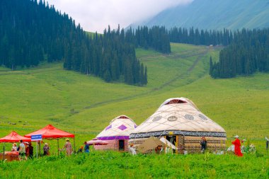 Xinyuan İlçesi, Ili Kazak özerk bölgesi, Xinjiang, Çin - 25 Haziran 2024 - Çin 'in en güzel otlaklarından biri olan Nalati Çayırı manzarası