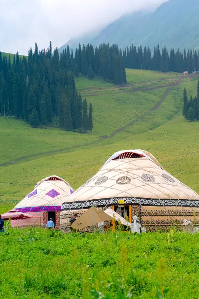 stock image Nalati Grassland, one of the most beautiful grasslands in China for its alpine and valley scenery, Xinyuan County, Ili Kazak autonomous prefecture, Xinjiang Uygur autonomous region, China