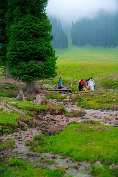 stock image Nalati Grassland, one of the most beautiful grasslands in China for its alpine and valley scenery, Xinyuan County, Ili Kazak autonomous prefecture, Xinjiang Uygur autonomous region, China