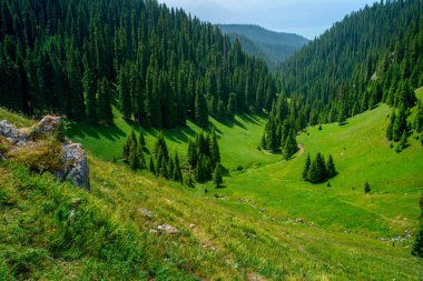 Karajun Çayırı, çayırları, ormanları, kanyonları, karla kaplı tepeleri ve gölleri, Tekes İlçesi, Ili Kazak Özerk Bölgesi, Xinjiang, Çin