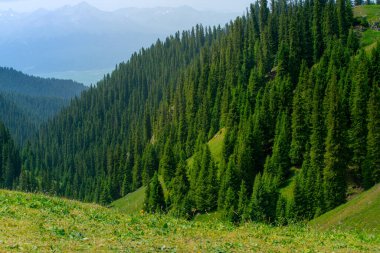 Karajun Çayırı, çayırları, ormanları, kanyonları, karla kaplı tepeleri ve gölleri, Tekes İlçesi, Ili Kazak Özerk Bölgesi, Xinjiang, Çin