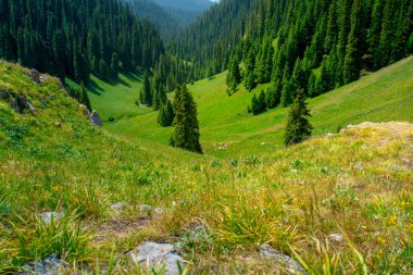 Karajun Çayırı, çayırları, ormanları, kanyonları, karla kaplı tepeleri ve gölleri, Tekes İlçesi, Ili Kazak Özerk Bölgesi, Xinjiang, Çin