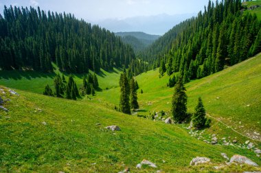 Karajun Çayırı, çayırları, ormanları, kanyonları, karla kaplı tepeleri ve gölleri, Tekes İlçesi, Ili Kazak Özerk Bölgesi, Xinjiang, Çin
