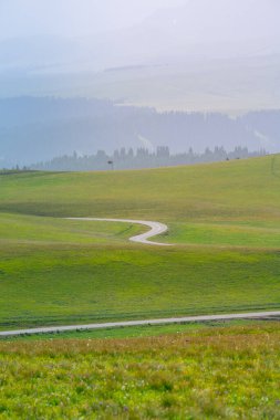 Karajun Grassland, an attractive tourist attraction integrating grasslands, forests, canyons, snow-capped peaks, and lakes, Tekes County, Ili Kazakh Autonomous Prefecture, Xinjiang, China clipart