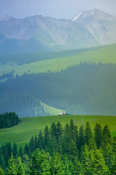 stock image Karajun Grassland, an attractive tourist attraction integrating grasslands, forests, canyons, snow-capped peaks, and lakes, Tekes County, Ili Kazakh Autonomous Prefecture, Xinjiang, China