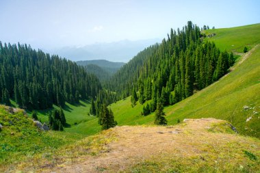 Karajun Çayırı, çayırları, ormanları, kanyonları, karla kaplı tepeleri ve gölleri, Tekes İlçesi, Ili Kazak Özerk Bölgesi, Xinjiang, Çin