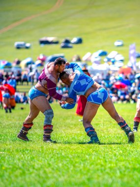 Ulaanbaatar, Moğolistan - 4 Ağustos 2024 - Moğol güreş sahnesi, Danshig Naadam ve Khuree Tsam festivalinin spor oyunlarından biri, antik dini ve kültürel Moğolistan festivali