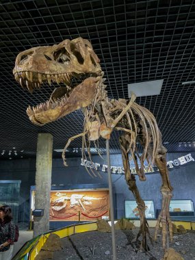 Ulaanbaatar, Moğolistan - 5 Ağustos 2024 - Moğolistan Ulusal Müzesi, Moğol tarihine odaklı bir tarih müzesi, nesnenin koleksiyonu, bakımı ve yorumundan sorumlu