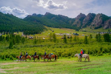 Terelj, Moğolistan - 11 Ağustos 2024 - Gorkhi-Terelj Ulusal Parkı, Moğolistan ulusal parklarından biri