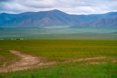 Khustain Nuruu National Park, also known as Hustai National Park, the best known as a home to the Takhi or Przewalski's horse, the last surviving wild horse in the world, Mongolia clipart