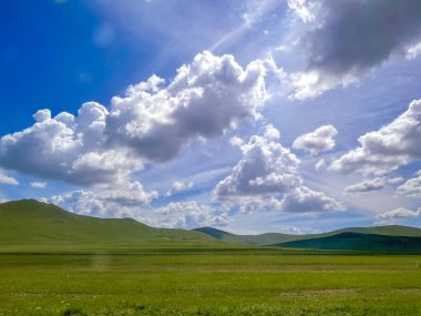 Moğolistan 'da yol kenarına bak