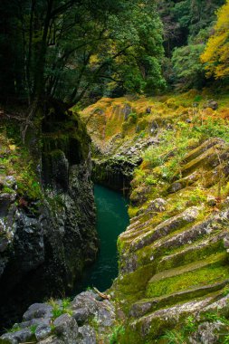 Takachiho Vadisi, Gokase Nehri 'nin yanındaki volkanik bazalt sütunların uçurumundan geçen dar bir uçurum. Minainotaki şelalesi aşağıdaki nehre dökülüyor. Miyazaki, Kyushu, Japonya.