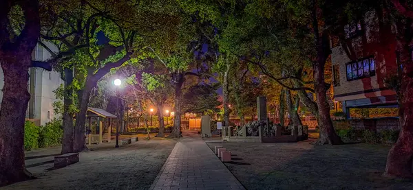 Kagoshima, Kyushu, Japonya - 18 Kasım 2024 - Orta Kagoshima 'nın birçok Japon tarihi heykeli yan sokaklardaydı