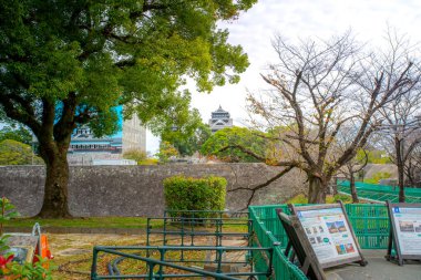 Kumamoto, Kyushu, Japonya - 20 Kasım 2024 - Kumamoto Şatosu Sahnesi, bir tepe Japon kalesi, kale kompleksindeki on üç yapı yenilenmiş Kültürel Mülkiyet olarak belirlendi. 