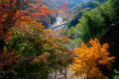 Oka Kalesi yıkıntıları, Taketa şehrinde bulunan bir Sengoku-Edo dönemi yamajiro tarzı Japon şatosu, kalıntılar bir Ulusal Tarih Sitesi, Oita, Kyushu, Japonya olarak korundu.