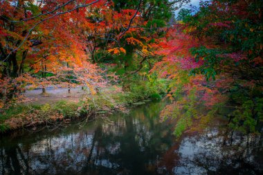 Kinrin-ko Gölü, Dakenshitanike olarak da bilinir, ya da Yufuin, Oita, Kyushu, Japonya 'daki Yufu-dake Dağı' nın eteklerindeki göl.