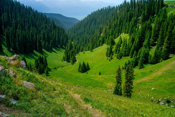 Karajun Çayırı, çayırları, ormanları, kanyonları, karla kaplı tepeleri ve gölleri, Tekes İlçesi, Ili Kazak Özerk Bölgesi, Xinjiang, Çin