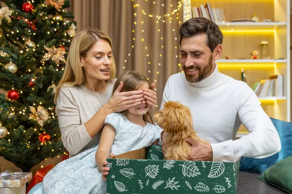 Christmas gift surprise. Parents gave their daughter a small dog for the New Year. Dad holds a box with a gift, mom closes the childs eyes. They are sitting at home near the Christmas tree.