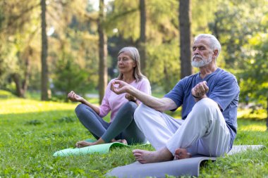 Nilüfer çiçekli yaşlı bir çift, parkta meditasyon yapıyor gözleri kapalı, spor minderinde oturuyor spor yapıyor, spor yapıyor, spor yapıyor..