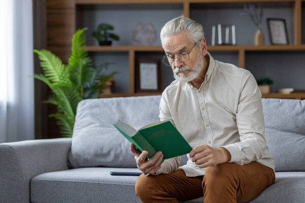 Serious and focused senior gray-haired man sitting on the couch at home wearing glasses and reading a book.