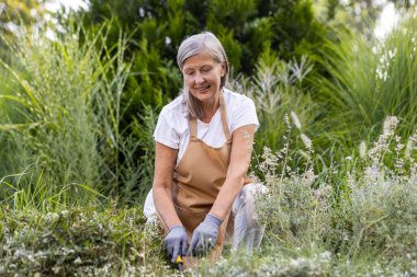 Önlüklü, bahçe işleriyle uğraşan, bahçesindeki bitkilerle ilgilenen, aktif emekliliği temsil eden neşeli, yaşlı bir kadın..