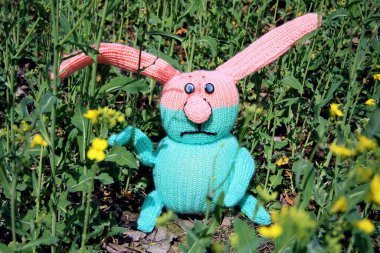 Örgü ören sevimli tavşan bahçedeki yeşil çimlerde oturur. İplikten yapılmış bir hediye örülmüş.
