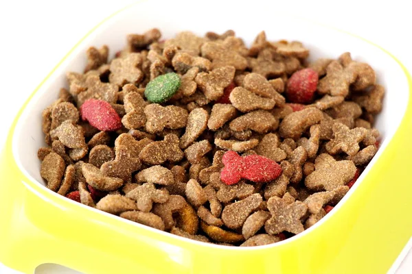 Dry healthy food mix for cats or dogs in a light yellow green square bowl.