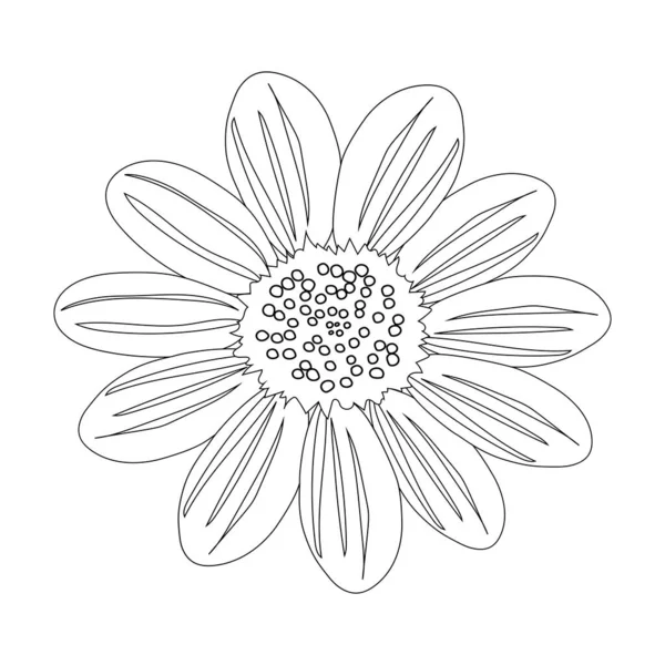 Chamomile flower with a black outline on a white background for coloring. One open flower bud. Vector.