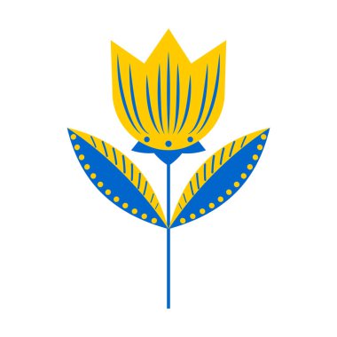 Lale. Beyaz arkaplanda mavi ve sarı renkli çiçek var. Vektör.