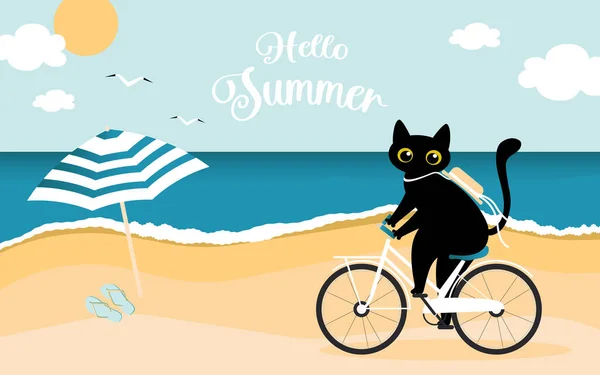 Hallo Sommer Eine Süße Schwarze Katze Fährt Ein Weißes Fahrrad — Stockfoto