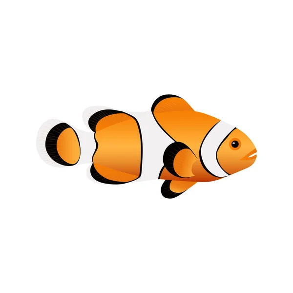 Clownfisk Isolerad Vit Bakgrund Söt Tryckt Populär Havsfisk Amphiprion — Stockfoto