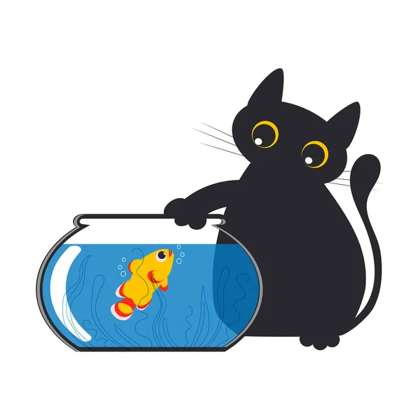 귀엽고 귀여운 고양이가 배경에 고립된 수족관에서 수영하는 금붕어와 가지고 — 스톡 사진