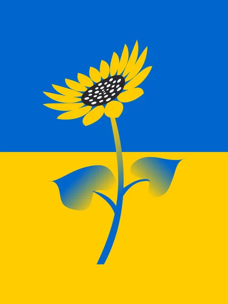 Girassol Fundo Bandeira Nacional Ucrânia Vetor — Vetor de Stock