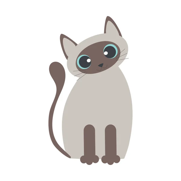 Dibujos Animados Gato Siamés Con Grandes Ojos Azules Claros Aislados —  Fotos de Stock