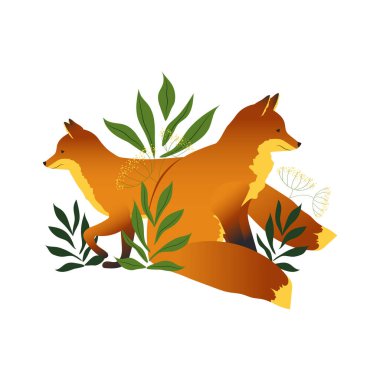 Beyaz arka planda yalıtılmış orman bitkileri olan bir çift güzel kızıl tilki. Vektör.