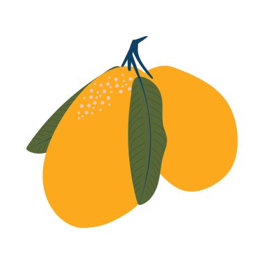 Beyaz arka planda yaprakları olan tropik mango meyveleri. Vektör.