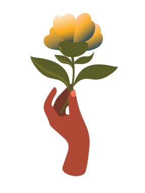 Bir kadının elindeki narin çiçek bahar kartları için beyaz bir arka planda izole edilmiş. Vektör.