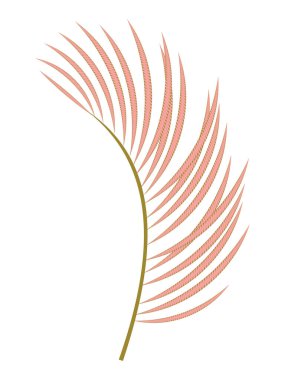 Beyaz arka planda izole edilmiş palmiye pembesi dekoratif yaprak. Vektör.