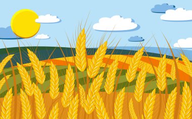 Güneşli bir günde olgun altın buğday tarlaları. Vektör.